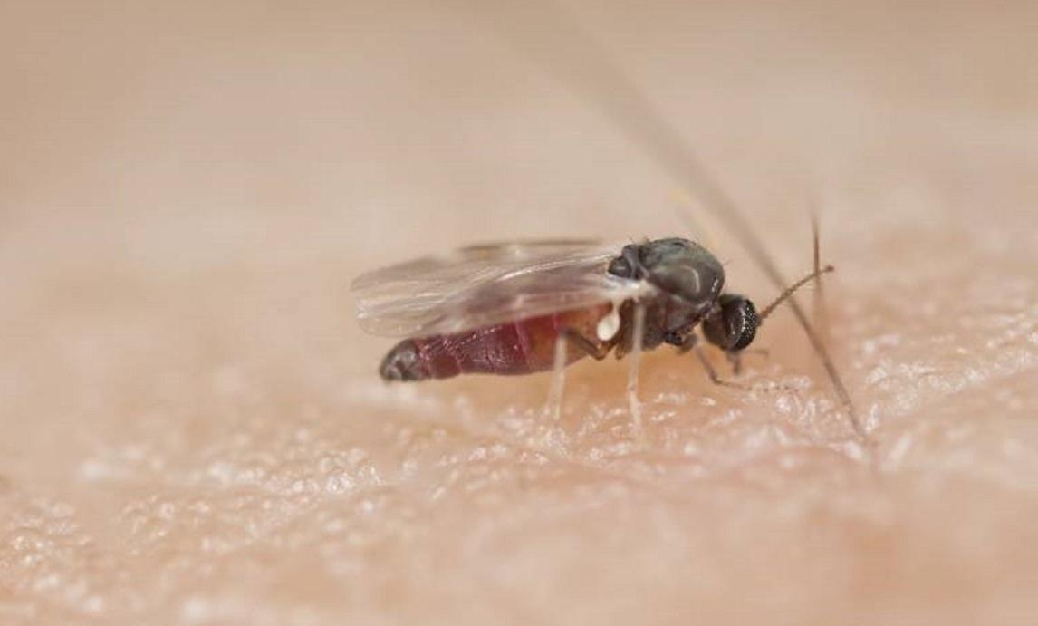 Administração de Imbuia adquire BTI para combate do borrachudo