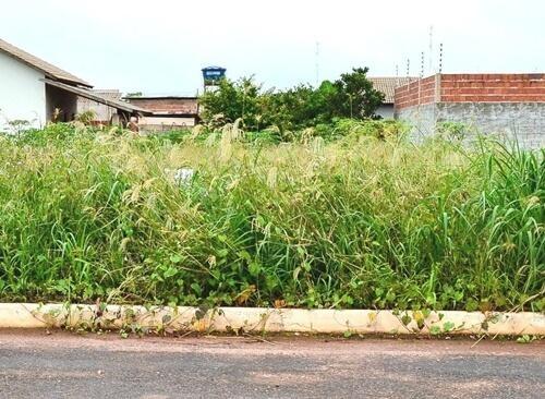 Administração de Ituporanga pede cooperação dos moradores para fazer a limpeza de terrenos baldios no município