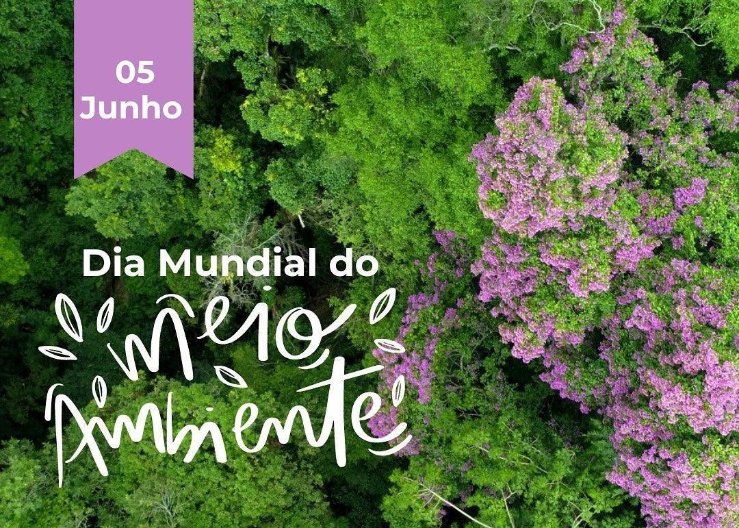 Administração de Ituporanga prepara ações especiais para a Semana do Meio Ambiente