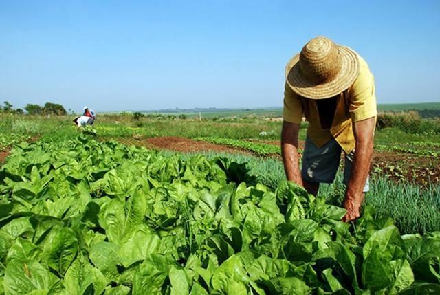 Advogada alerta que pagamento da Contribuição Sindical Rural é opcional e não obrigatória