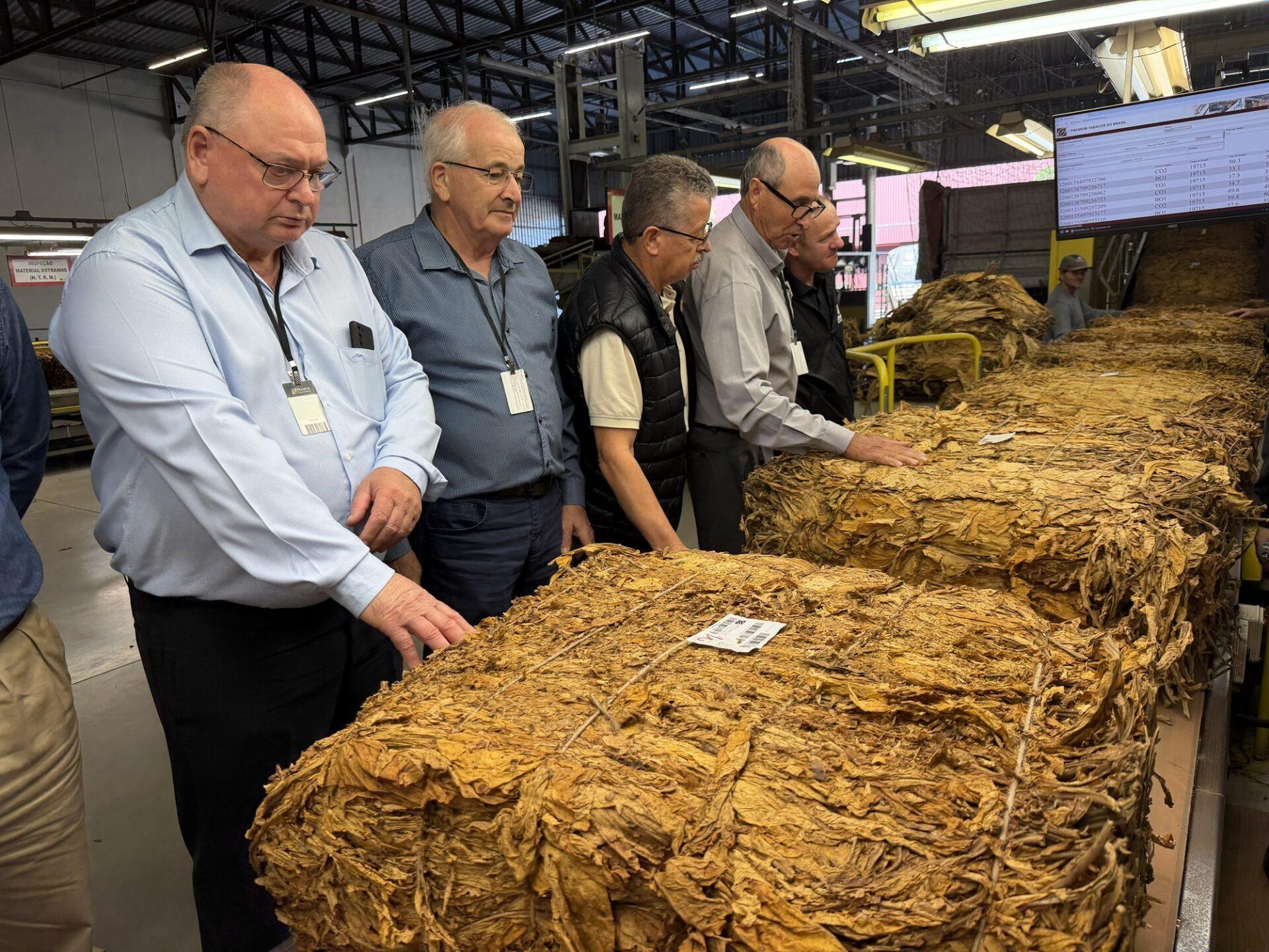AFUBRA cobra valorização do tabaco e aponta atraso na comercialização da safra