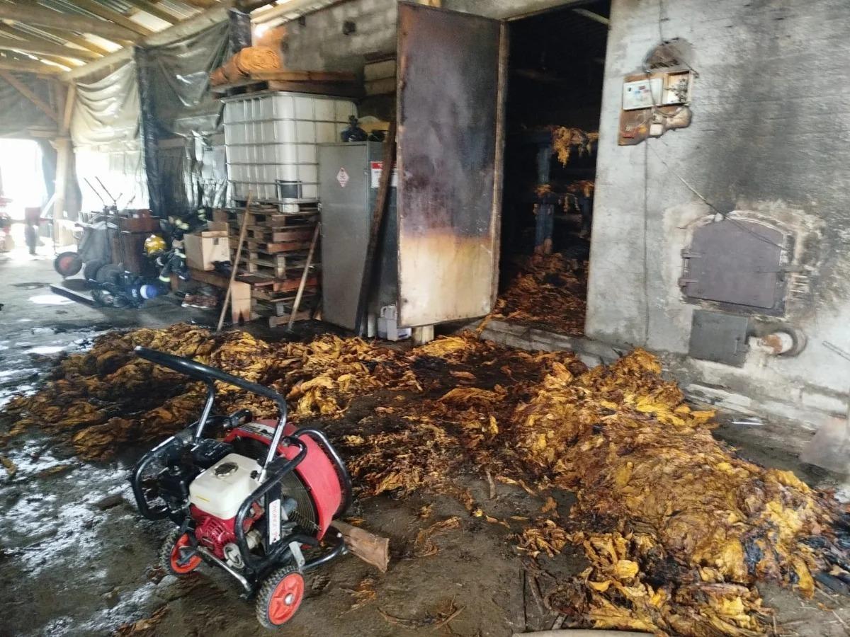 Afubra orienta produtores sobre cobertura em caso de incêndio em estufas