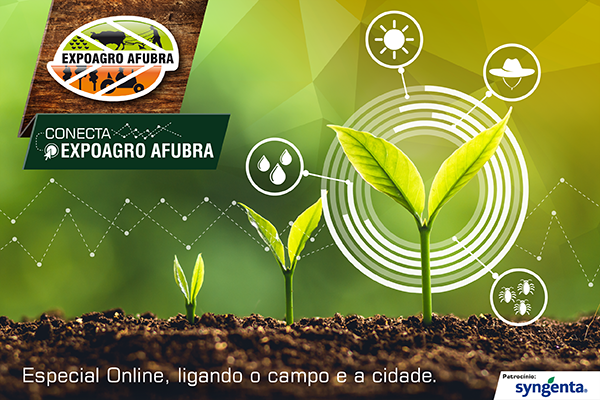 Afubra promove evento online e debate sobre os desafios da agricultura familiar e os impactos da pandemia