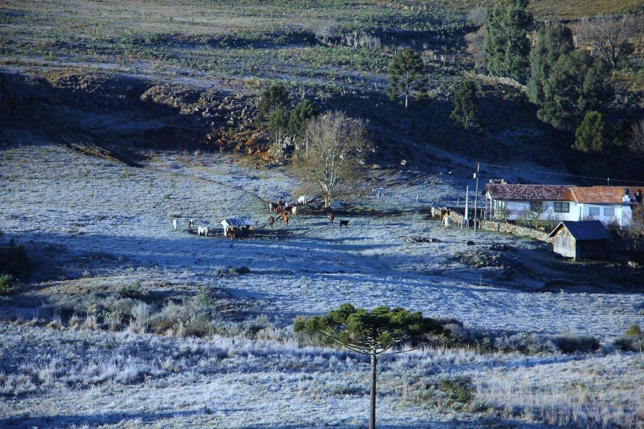 Agosto poderá maior sequência de dias com temperaturas negativas