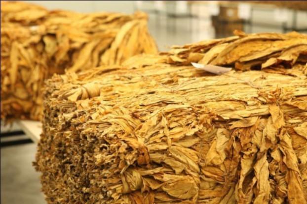 Agricultor morre após sofrer descarga elétrica enquanto enfardava fumo