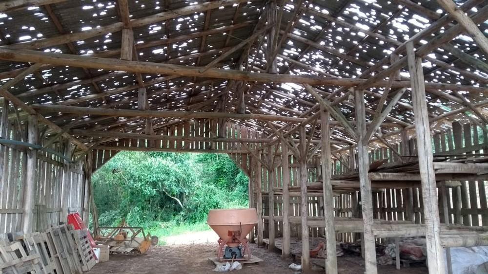 Agricultores catarinenses calculam prejuízos em plantações após chuva de granizo