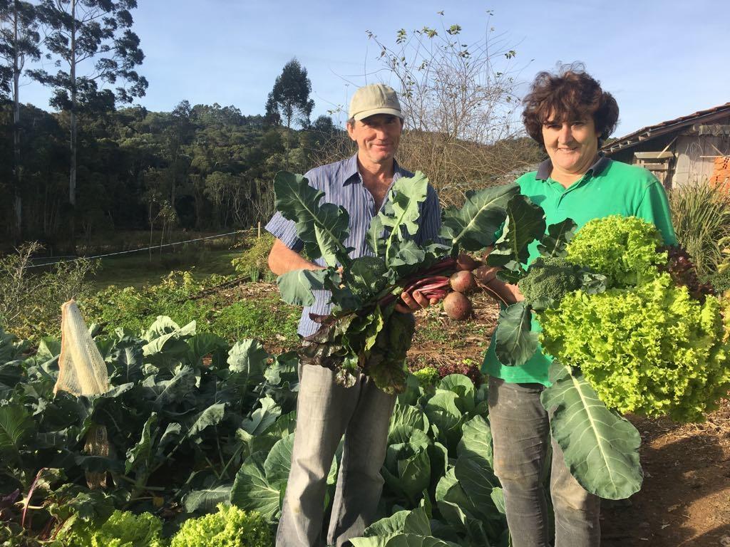 Agricultores de Chapadão do Lageado iniciam comercialização de cestas com produtos orgânicos