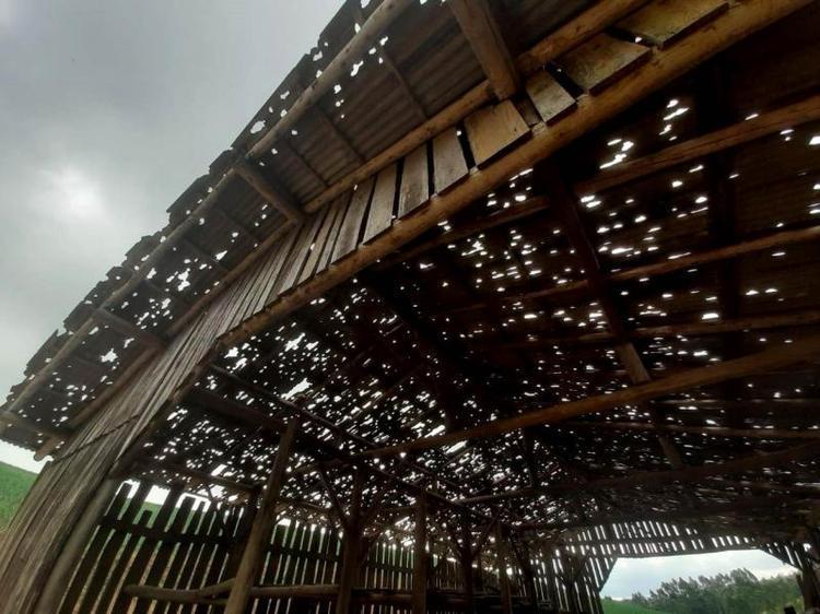 Agricultores do Alto Vale somam prejuízos após chuvas de granizo da última semana 