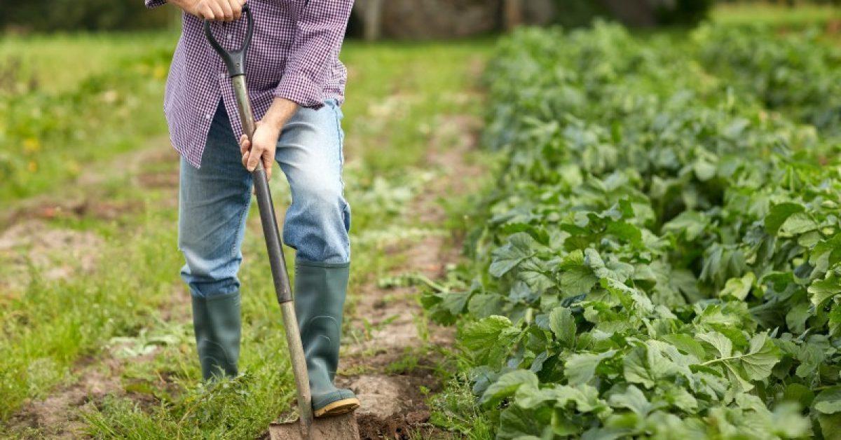 Agricultores e lideranças do Alto Vale se organizam para discutir mão de obra trabalhista