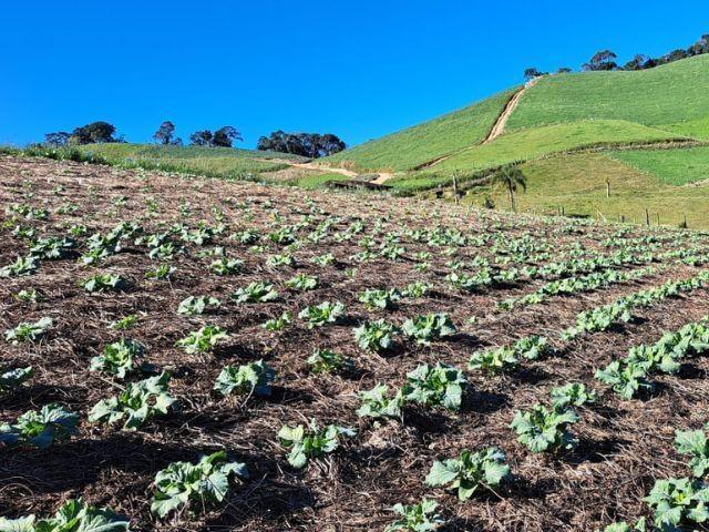 Agricultura comemora o Dia Nacional do Plantio Direto 