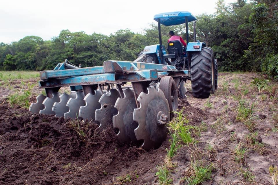 Agricultura responde por cerca de 70% da economia de Atalanta e recebe atenção especial da gestão