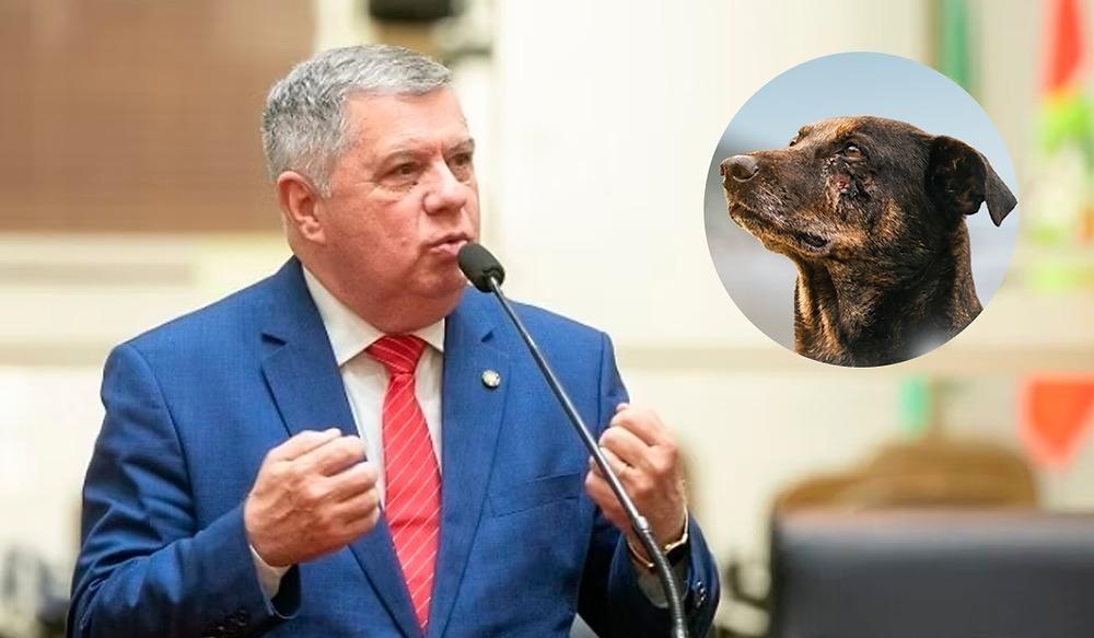 Alesc aprova Lei Orelha e amplia punições para maus-tratos contra animais em SC
