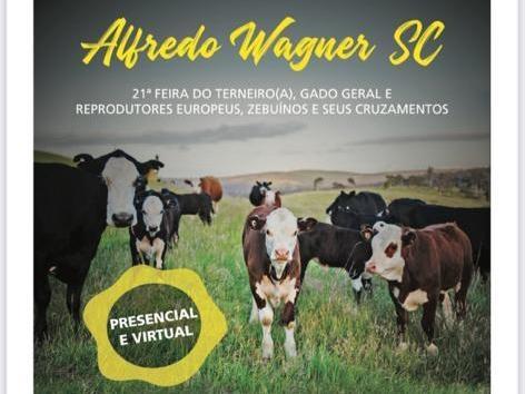 21º Feira do Gado será realizada em maio em Alfredo Wagner