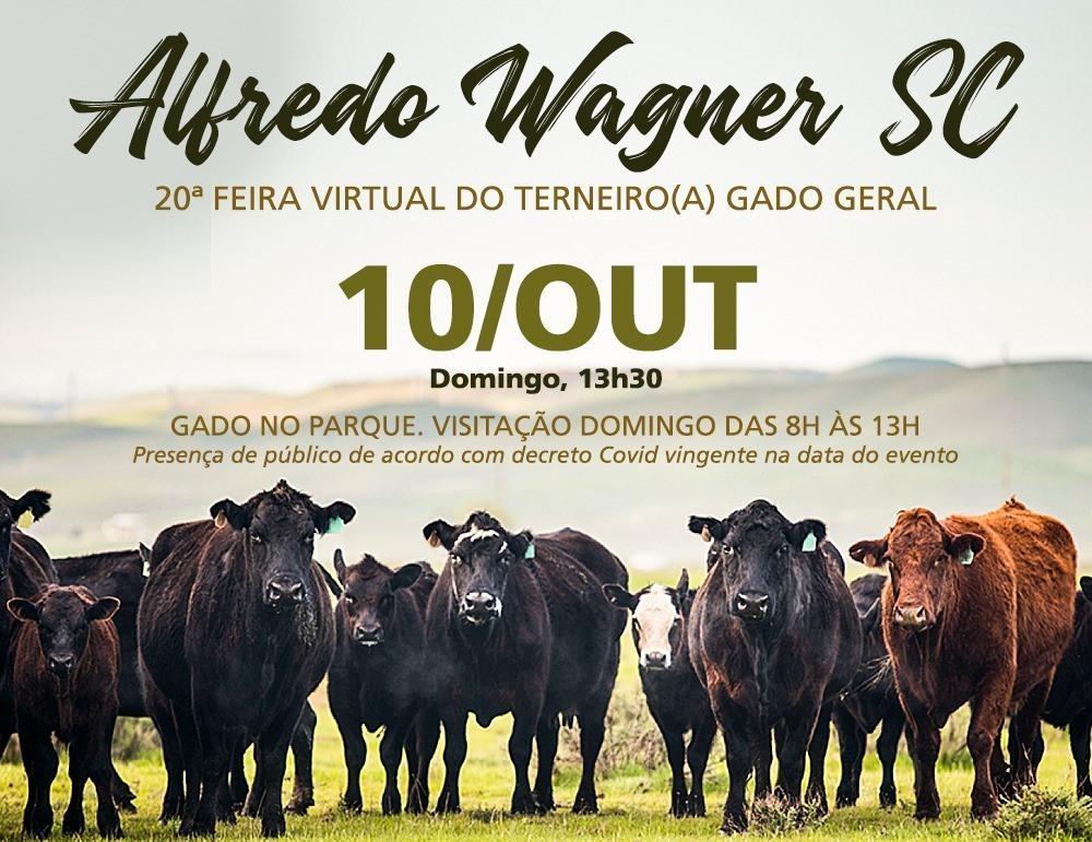 Alfredo Wagner sedia a 20º Feira Virtual do Terneiro e Gado Geral
