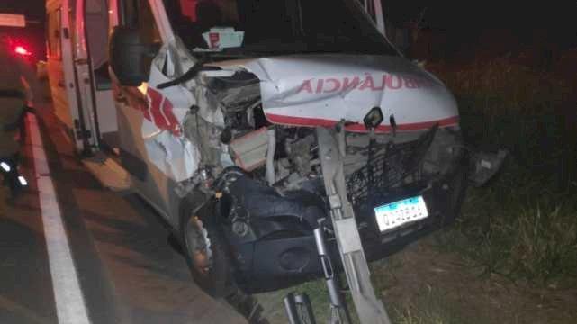 Ambulância do Alto Vale colide em vaca na BR-470