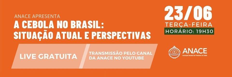 Anace vai promover Live para debater safra de cebola no Brasil