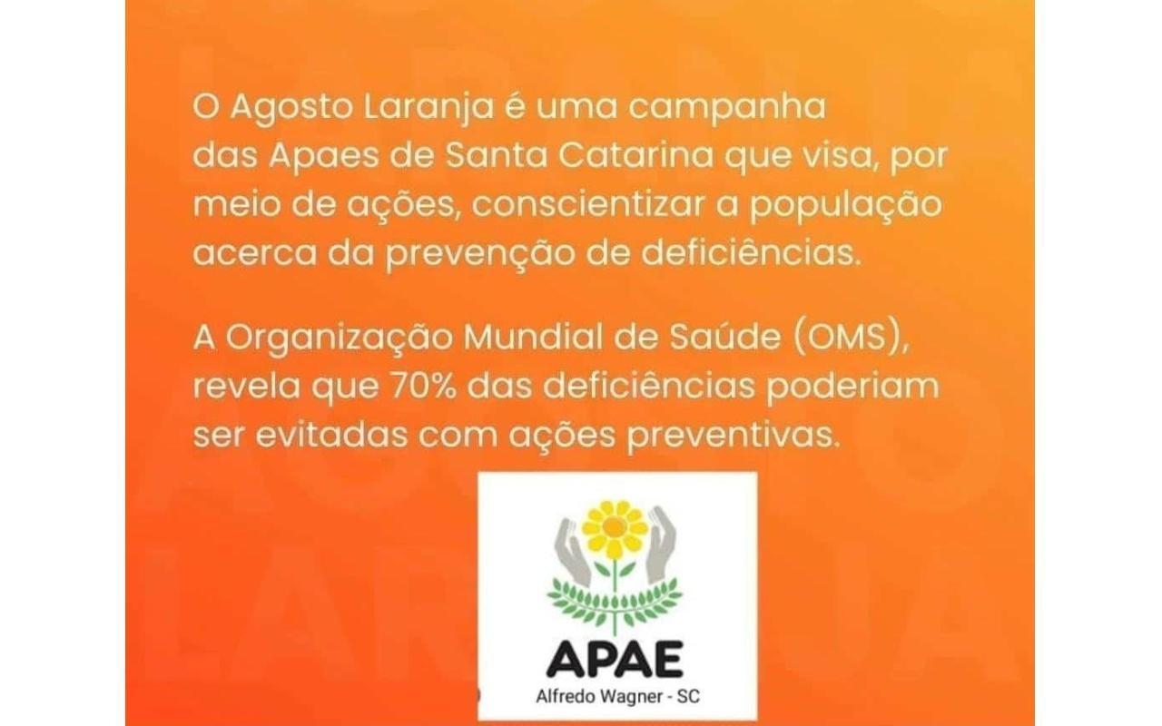APAE de Alfredo Wagner promove evento especial em alusão ao Agosto Laranja