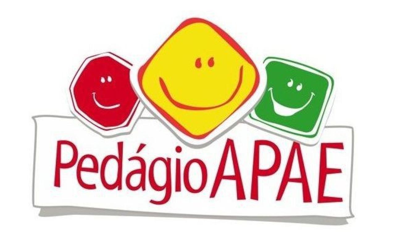 APAE de Ituporanga prepara pedágio