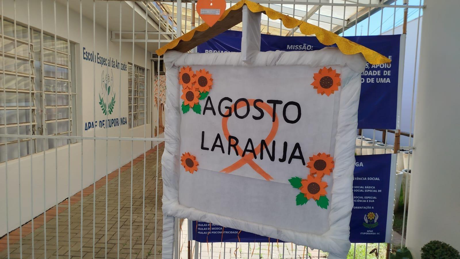 Apae de Ituporanga promove 'Projeto Prevenir' em alusão ao Agosto Laranja