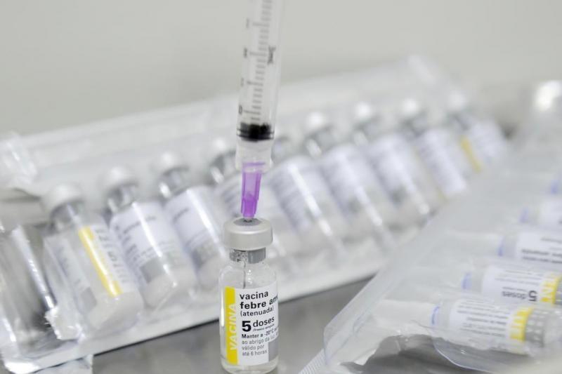 Apenas 10,6% da população que deveria se vacinar contra febre amarela procurou os postos em SC