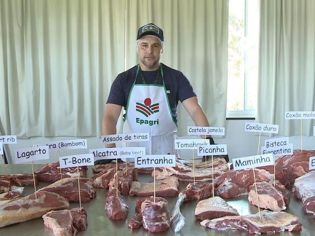 Aprenda a fazer cortes de carne bovina: confira vídeos de extensionista da Epagri