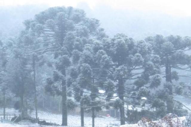 Temperaturas caem em todas as regiões de SC e há registro de neve em dois pontos