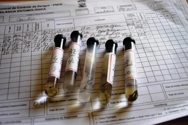 Petrolândia promove ações de combate à dengue em pontos estratégicos 