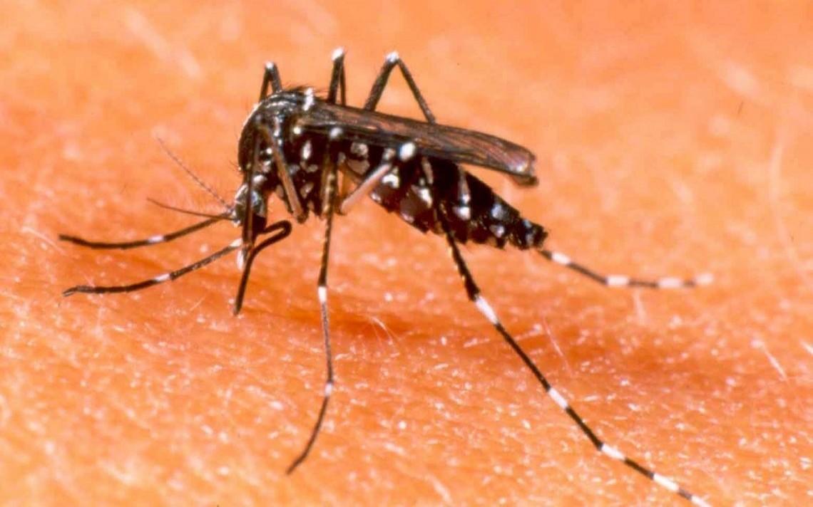Baixa procura pela vacina da febre amarela preocupa Vigilância Epidemiológica no Alto Vale