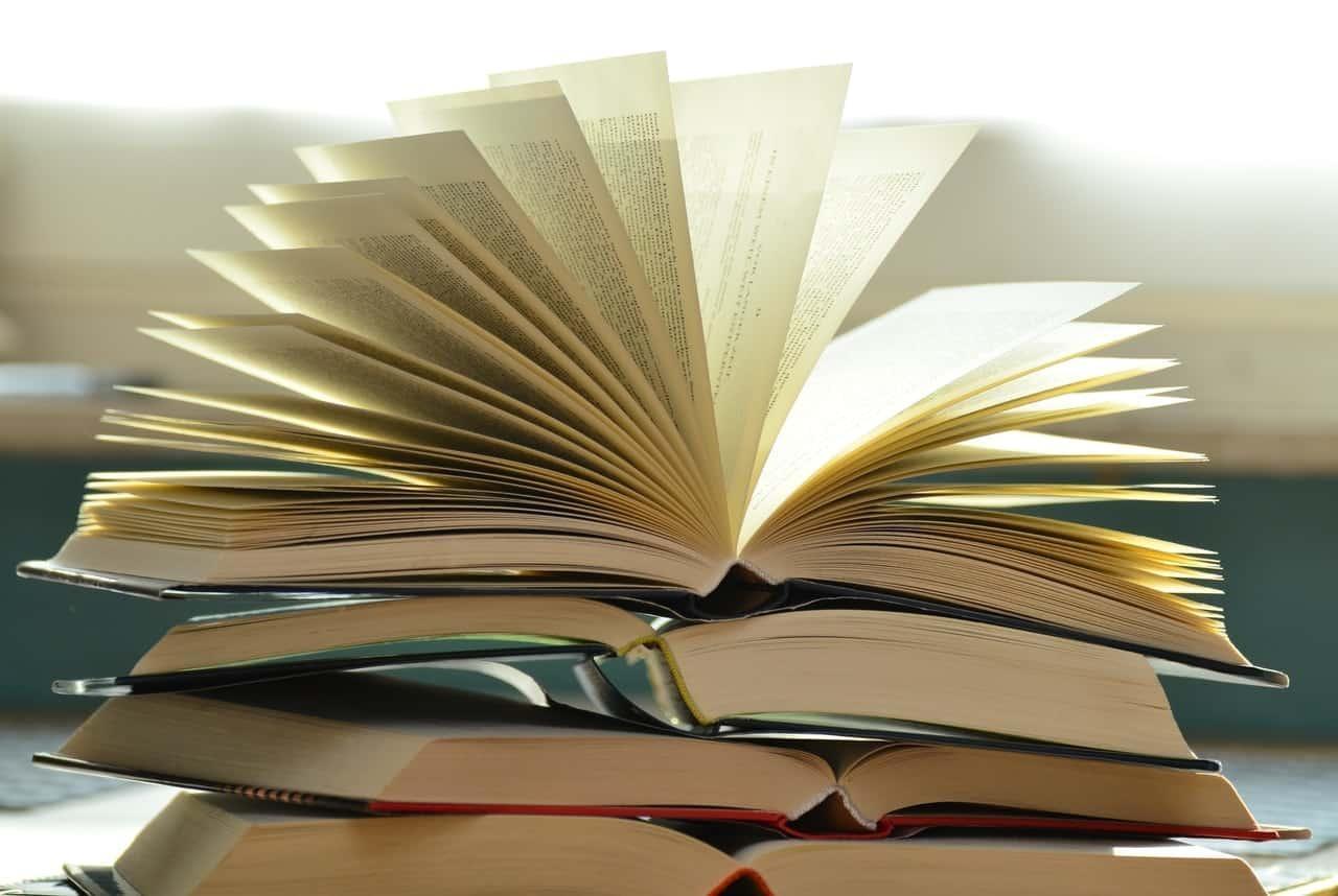 Biblioteca Municipal de Ituporanga possui mais de 13 mil exemplares