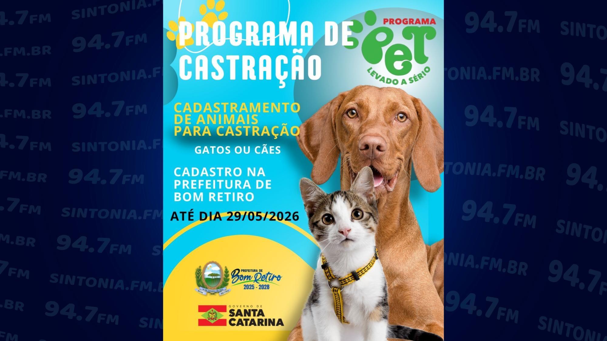 Bom Retiro abre inscrições para castração gratuita de cães e gatos