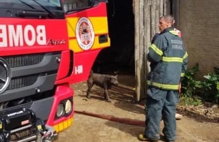 Bombeiros atendem ocorrência de incêndio em estufa de fumo em Vidal Ramos