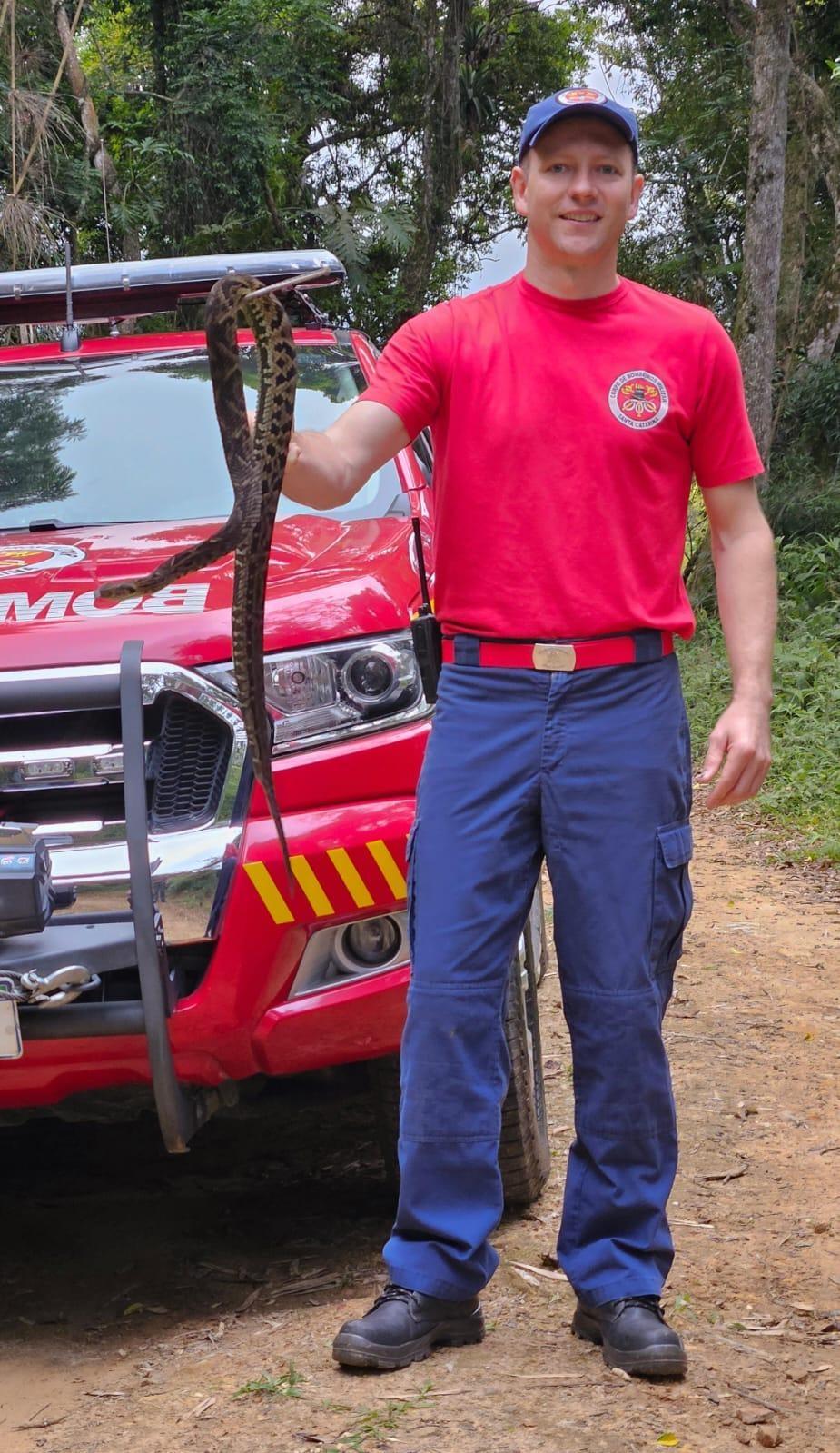 Bombeiros capturam cobra jararaca em residência em Ituporanga