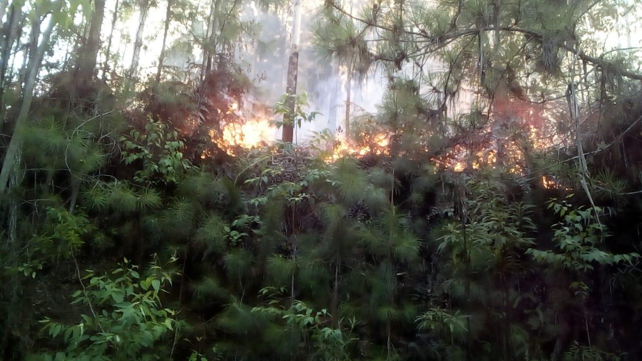Bombeiros trabalham cerca de 10 horas para apagar incêndio no Alto Vale do Itajaí