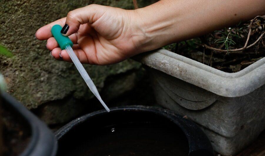 Brasil soma 1,6 mil mortes por dengue e SC tem 101 óbitos confirmados em 2024