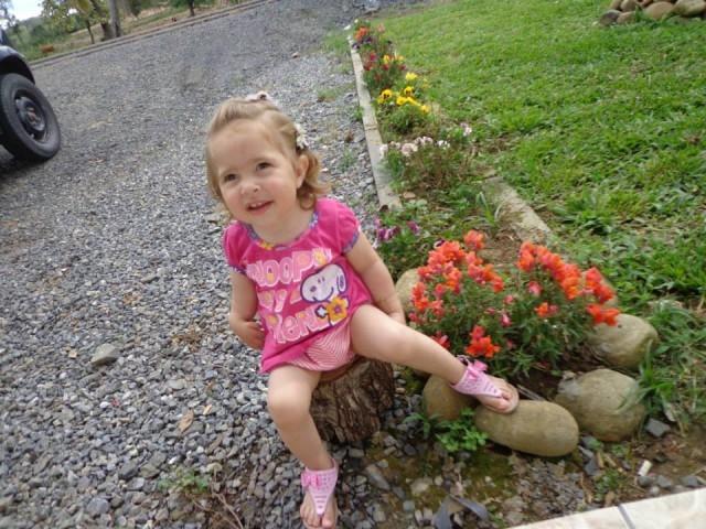 Menina de 3 anos morre após ser atropelada em Imbuia