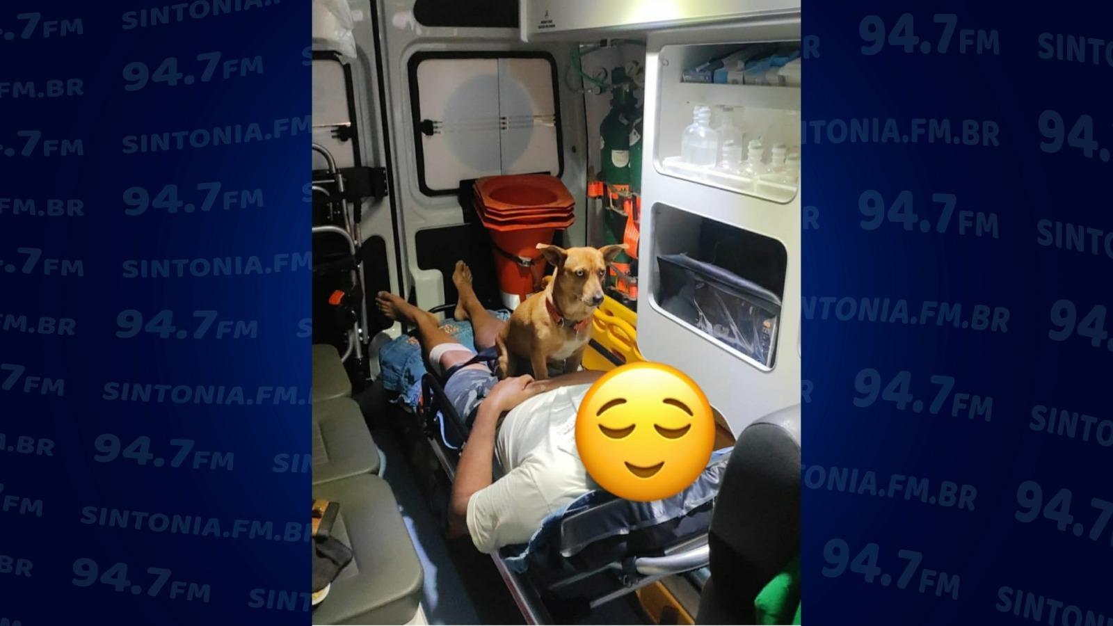 Cachorro acompanha tutor durante atendimento do SAMU em Ibirama