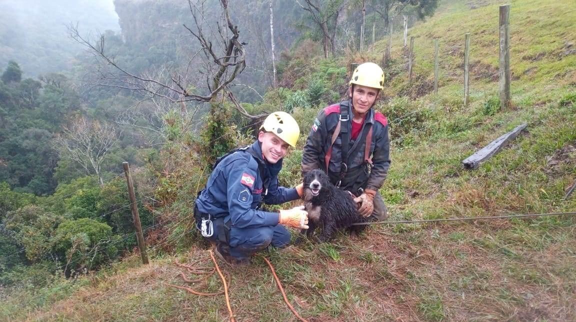 Cachorro cai de penhasco de 12 metros em Bom Retiro e é resgatado com rapel e guincho