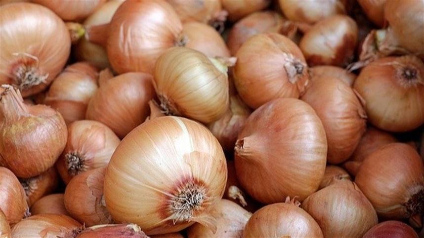 Câmara Setorial da Cebola se reúne em Ituporanga para avaliar safra, mercado e mudanças no Proagro