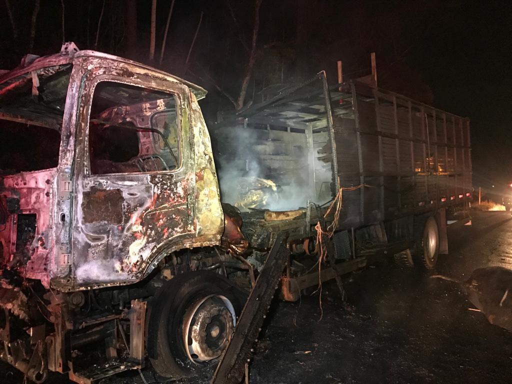 Caminhão carregado de animais pega fogo na BR-470