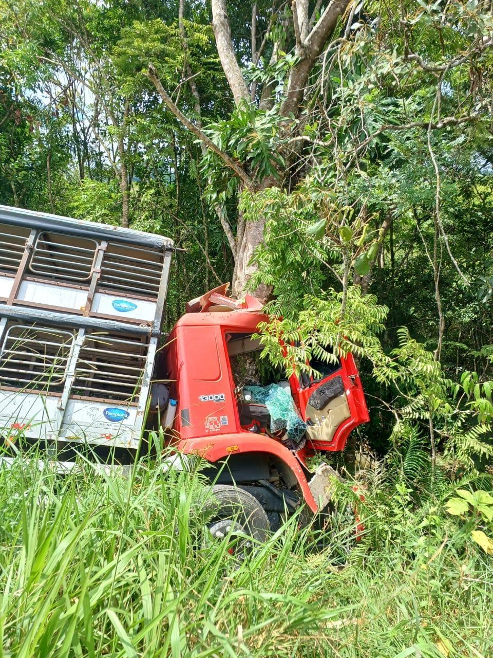Caminhoneiro fica preso às ferragens após colidir em árvore