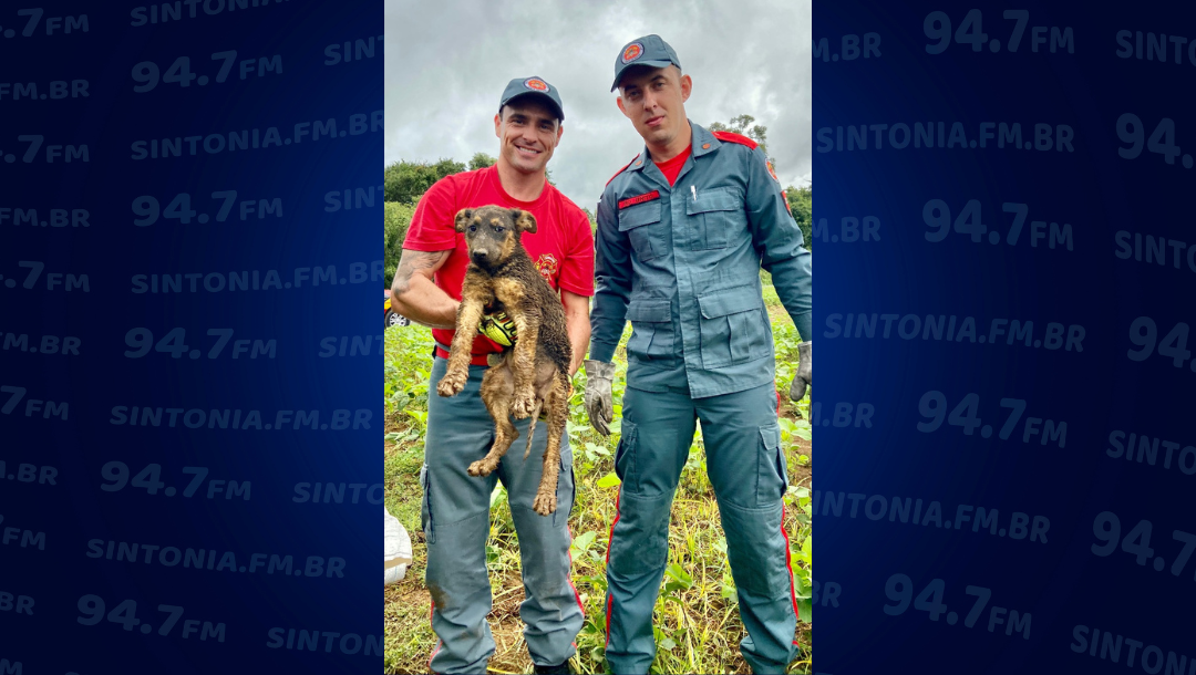 Cão é resgatado pelos Bombeiros após cair em buraco em Ituporanga