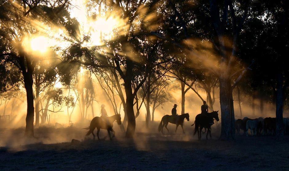 Cavalgada Amigos da APAE será neste sábado em Ituporanga