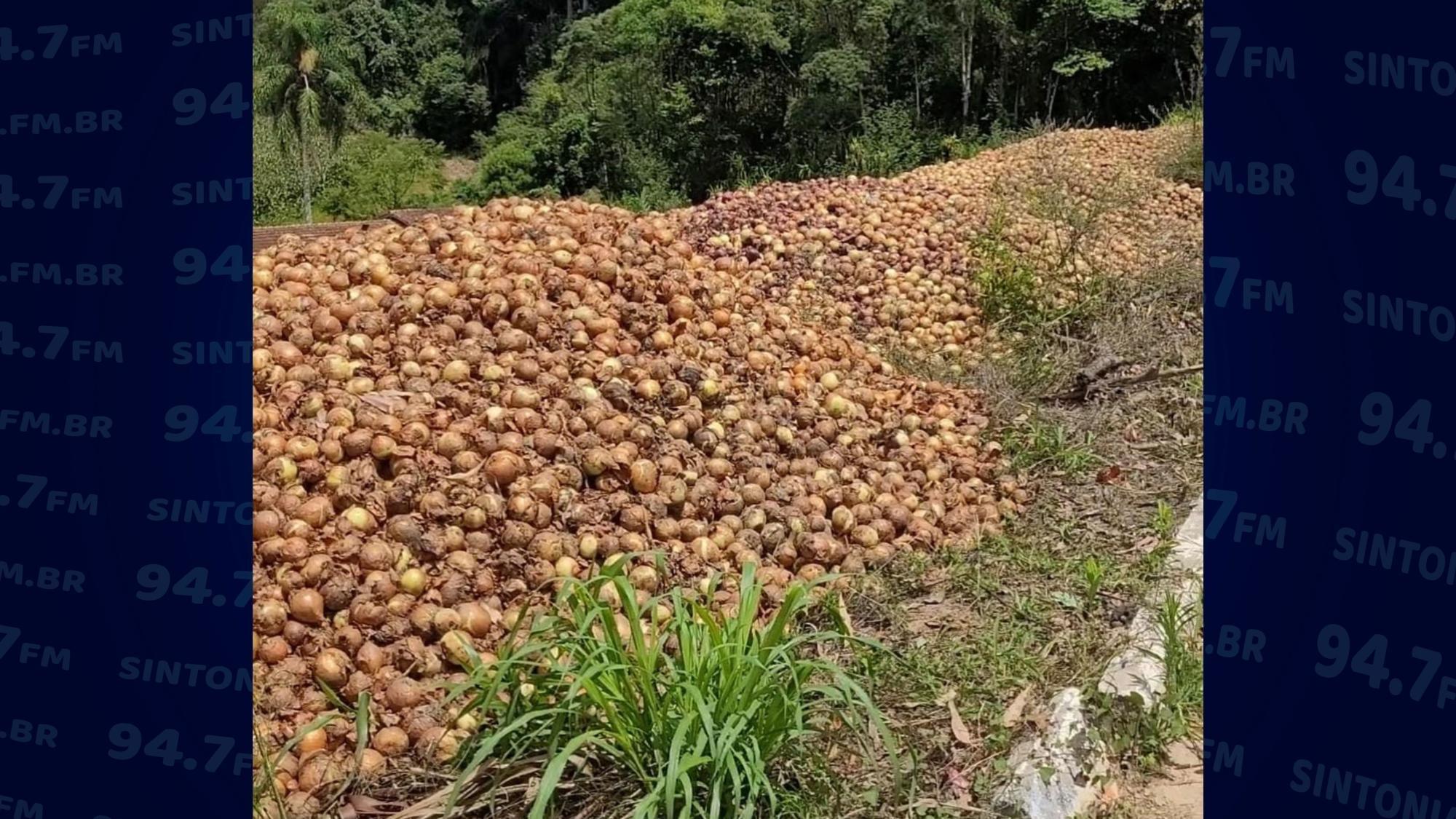 Cebola é descartada na beira da estrada em Nova Itália, em Aurora