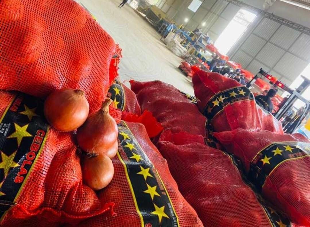 Cebola fica mais barata no atacado após aumento da oferta no Sul do país