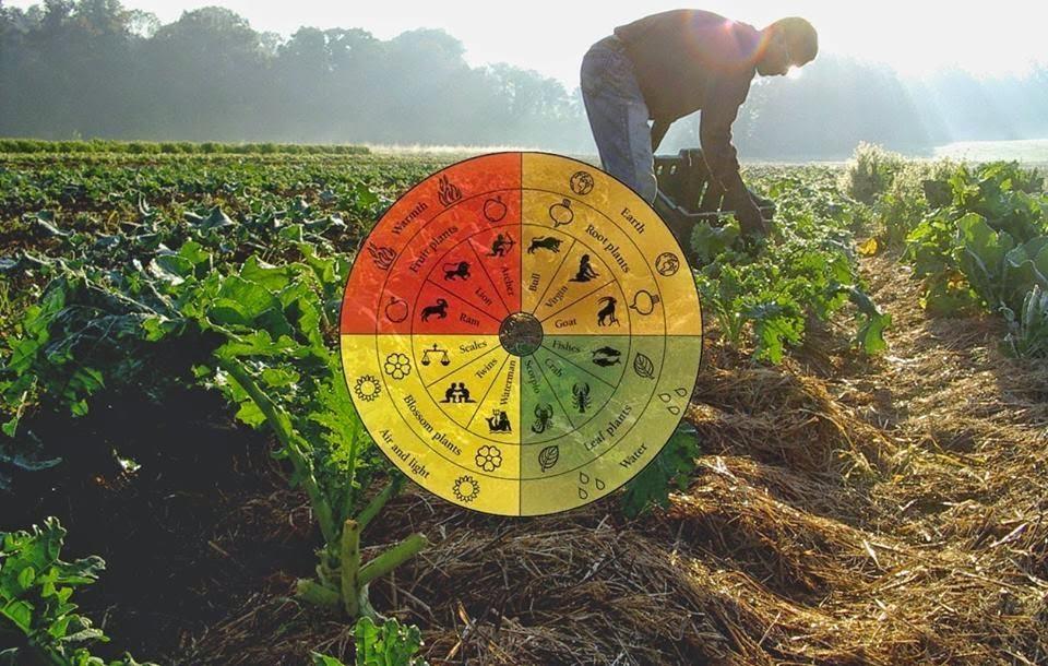 Chapadão do Lageado recebe Oficina do Fazer com foco em agricultura biodinâmica e consciência ecológica