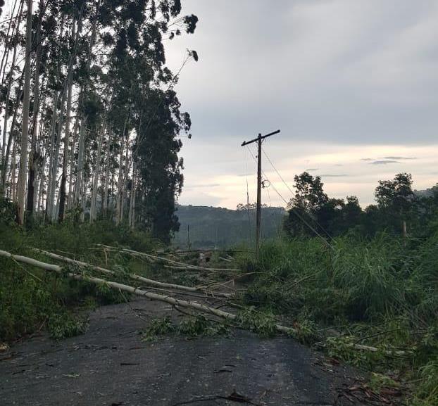 Cidade de Atalanta foi atingida por uma microexplosão, diz meteorologista da Epagri