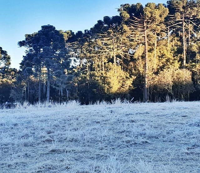 Cidades catarinenses registram temperaturas negativas nesta segunda