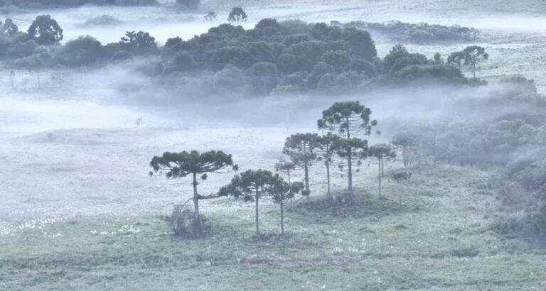 Ciram/Epagri alerta para temperatura baixa com chance de neve e geada ampla em SC