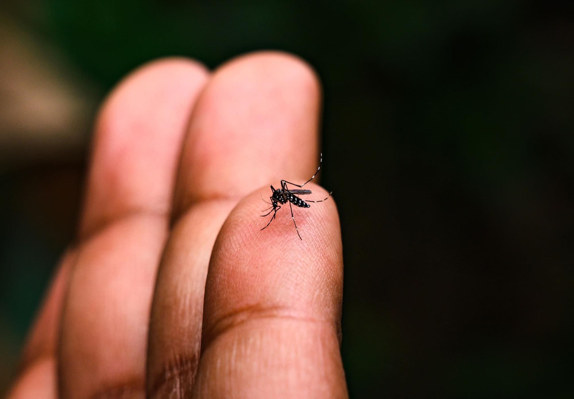 Com 23 casos positivos para dengue, Ituporanga realiza varreduras nos bairros
