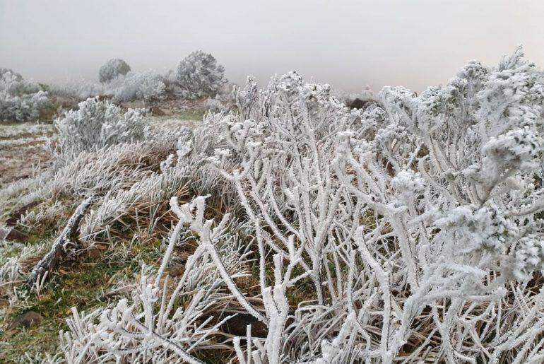 Com -6,4°C, Bom Jardim da Serra tem a menor temperatura de 2022 do sul do país, diz Inmet